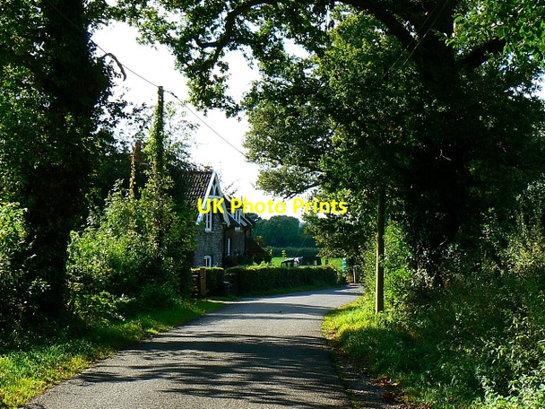 Photo 6"x4" Aldwick Lane, Aldwick, Somerset Cowslip Green c2007