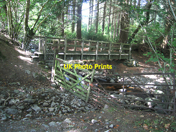 Photo 6"x4" Footbridge in Dyfnant Forest Dd\u00f4l Cownwy c2007