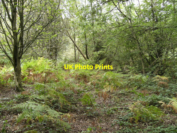 Photo 6"x4" Clyro Common in Autumn Hay-on-Wye\/Y Gelli Gandryll c2007