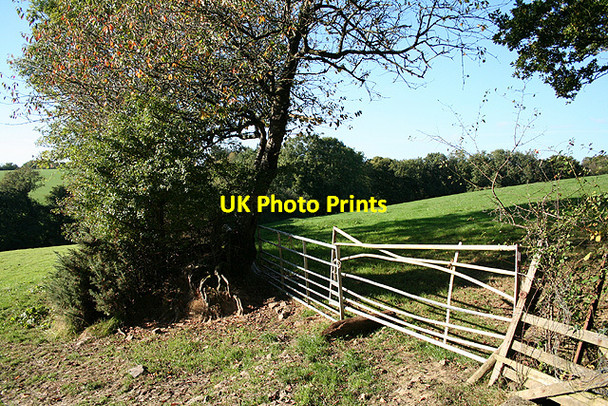 Photo 6"x4" North Petherwin: above the Ottery valley North Petherwin c2007
