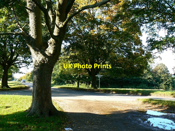 Photo 6"x4" Hungerford Common, Hungerford Eddington\/SU3469 c2007