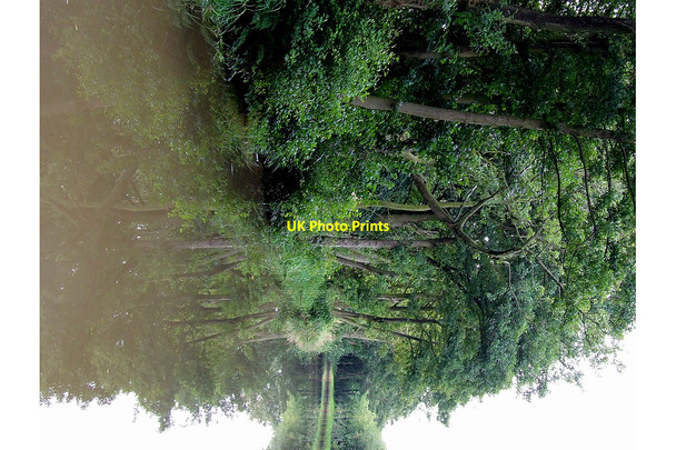 Photo 6"x4" Macclesfield Canal, near Ackers Crossing, Cheshire The Bank c2007