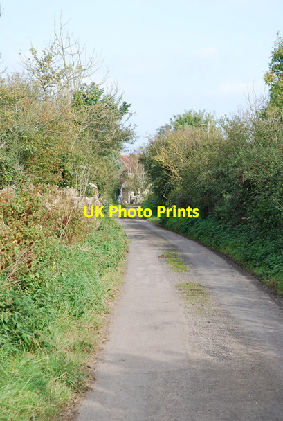 Photo 6"x4" Throop Road (eastwards) Combe Throop c2007