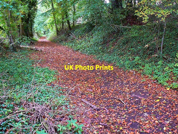 Photo 6"x4" Footpath through woods, near Frampton Mansell Frampton Mansell c2007