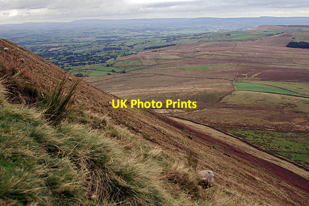Photo 6"x4" The slope of Pendle Big End Barley Green\/SD8140 c2007