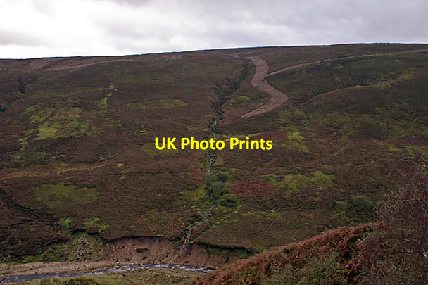 Photo 6"x4" Birch Bank Sykes\/SD6351 c2007