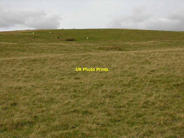 Photo 6"x4" High up on Esgair Crawnllwyn Esgair Crawnllwyn c2007