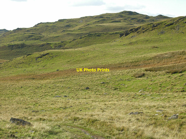 Photo 6"x4" Diverging paths Bryn Eithinog\/SN7866 c2007