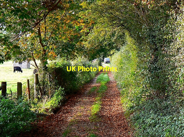 Photo 6"x4" Bridleway to Ashley Barn, near Tolpuddle Briantspuddle c2007