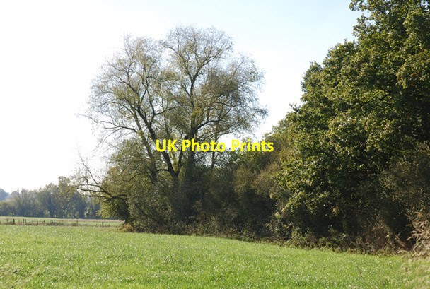 Photo 6"x4" Beside Park Pale Motcombe c2007