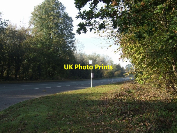 Photo 6"x4" Rural bus stop Newport\/SJ7419 c2007