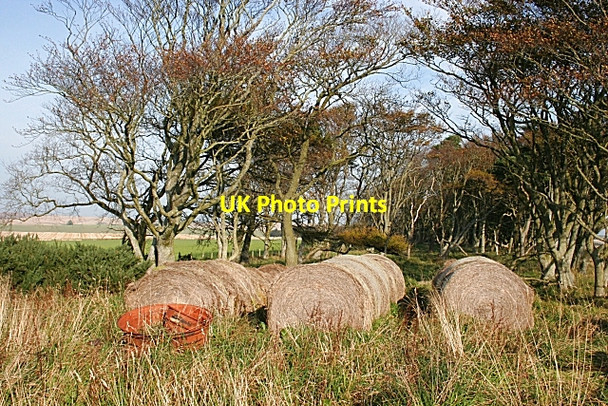 Photo 6"x4" Bales and Wheels Keilhill c2007
