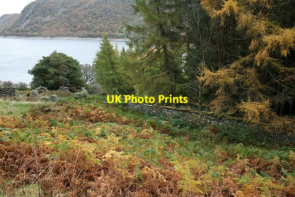Photo 6"x4" Two Old Sheep Folds by Haweswater Haweswater Reservoir c2007