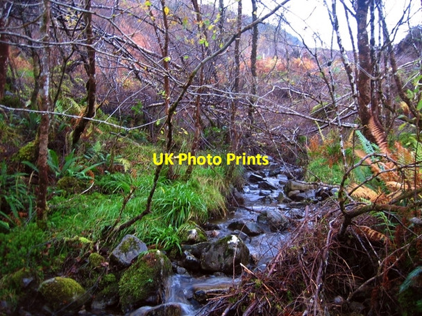 Photo 6"x4" An Cam-allt Strathan\/NG9338 c2007