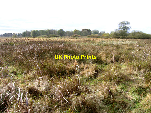 Photo 6"x4" Wangford Fen, Wangford, Suffolk Brandon\/TL7886 c2007