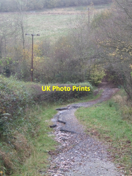 Photo 6"x4" National Cycle Route 45 Chelmarsh c2007