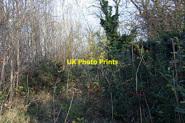 Photo 6"x4" Green Lane Finchley c2007
