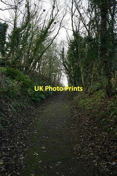 Photo 6"x4" Railway Cutting in Campbeltown Campbeltown c2007