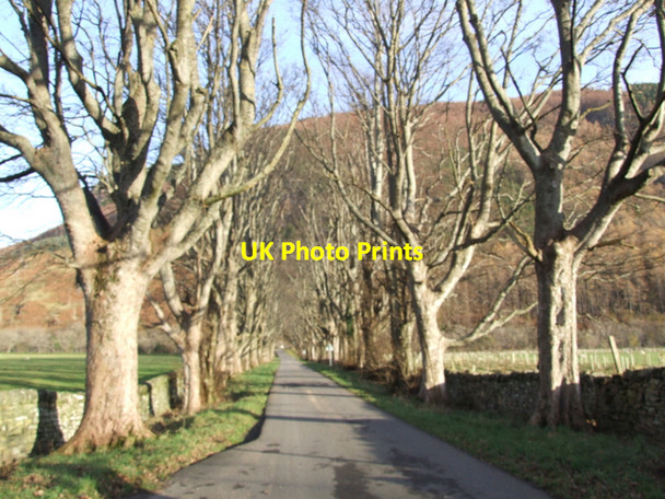 Photo 6"x4" A fine avenue, looking towards the bridge at Inverbroom Clachan\/NH1784 c2007
