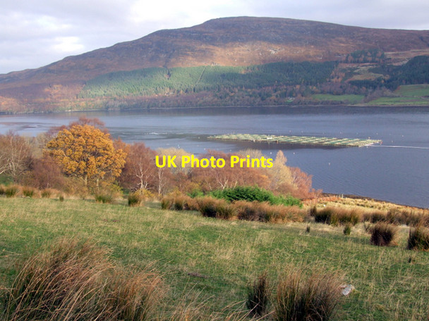 Photo 6"x4" Fish farming in Loch Broom, near Rhiroy Rhiroy c2007