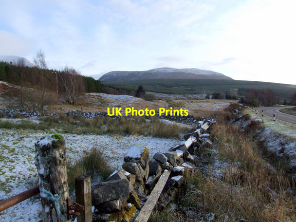 Photo 6"x4" Garbat forest Dubh Choille c2007 P2