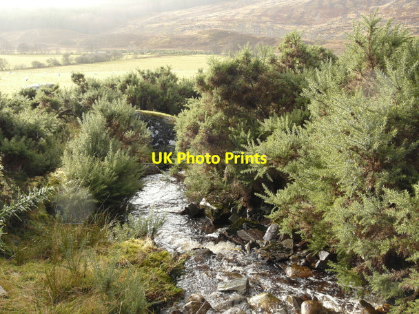 Photo 6"x4" Burn near Braeantra, Strath Rusdale Braeantra c2007 P1