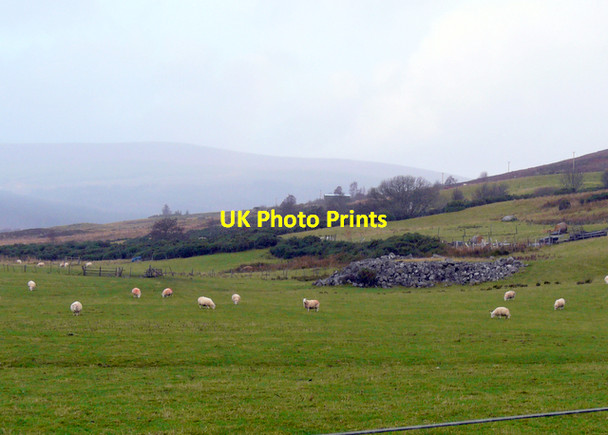 Photo 6"x4" Strath Rusdale Strath Rusdale c2007 P1
