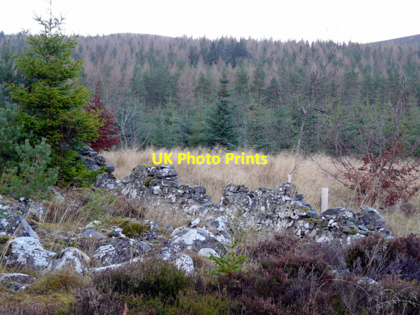 Photo 6"x4" Forestry land near Loch Dubh Cnoc Ruadh c2007