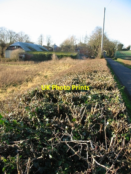 Photo 6"x4" Haynes Farm Golgotha c2007