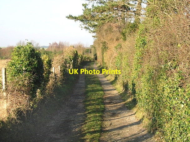 Photo 6"x4" Private road to The Firs, Sutton Downs Martin\/TR3347 c2007