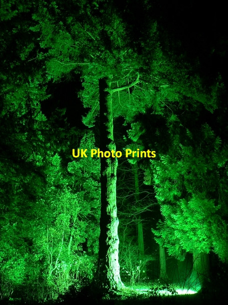 Photo 6"x4" Circular Drive, Westonbirt Arboretum (2) Westonbirt c2007