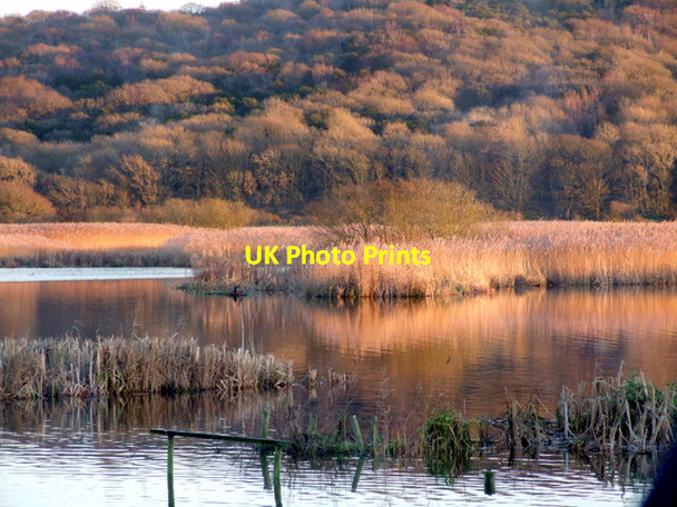 Photo 6"x4" Evening at Leighton Moss Red Bridge c2007