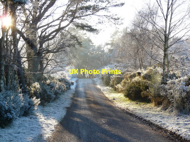 Photo 6"x4" Near Loinnbuie, on a frosty day Lochslin c2007