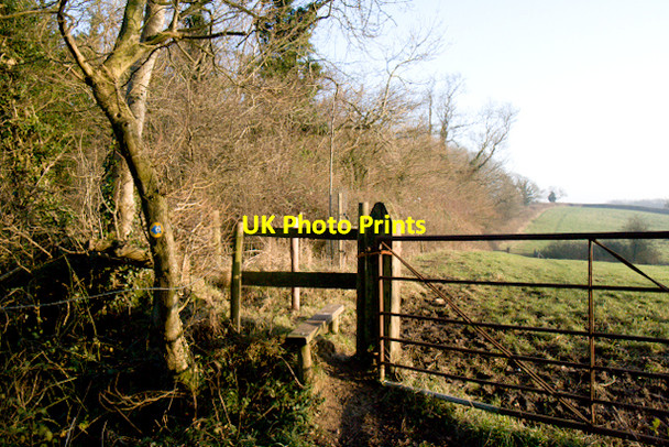 Photo 6"x4" Hanglands Covert, Charlton Horethorne Charlton Horethorne c2007