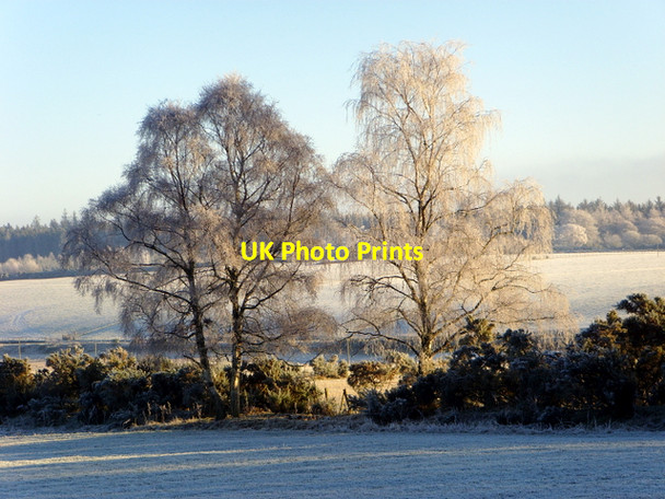 Photo 6"x4" Near Glachbeg, on a frosty morning. Arpafeelie c2007