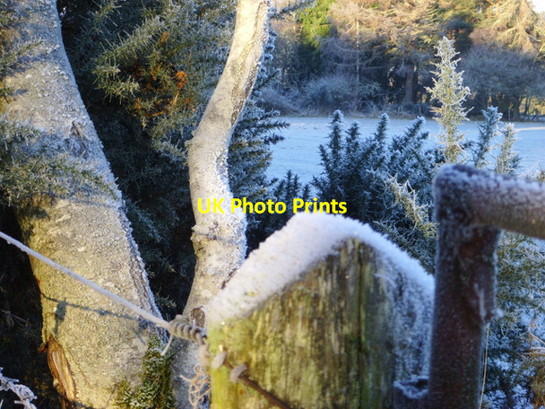 Photo 6"x4" Frosty corner, Glachbeg Arpafeelie c2007