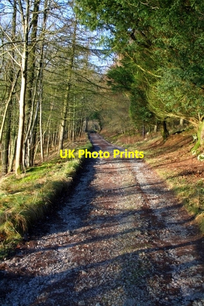 Photo 6"x4" Track Around Malham Tarn Water Houses\/SD8867 c2007