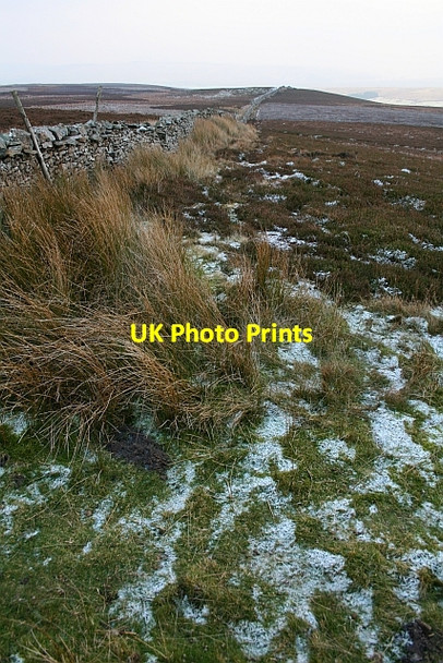 Photo 6"x4" South Tarn Hill Walden c2007