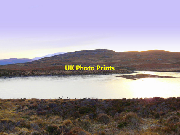 Photo 6"x4" Palm Loch Syre c2007