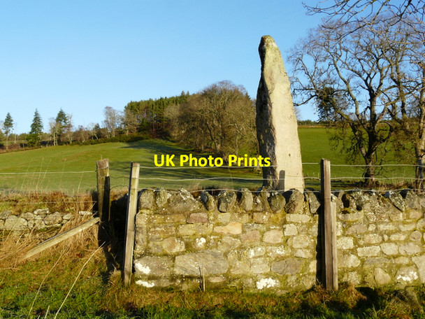 Photo 6"x4" Standing Stone, about 10ft tall Ospisdale c2007
