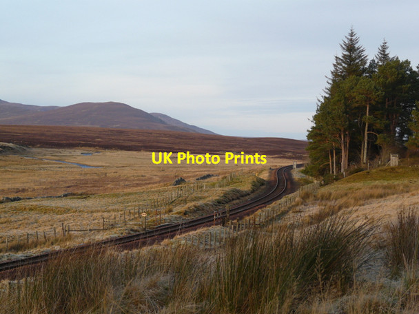 Photo 6"x4" The line at Kinbrace Kinbrace c2007