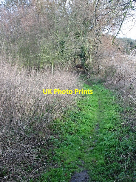 Photo 6"x4" Footpath from Kelk Hill Chillenden c2008