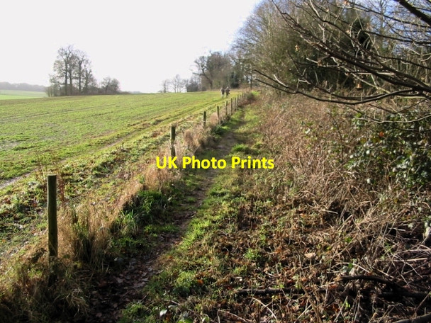 Photo 6"x4" View along field edge Eythorne c2008