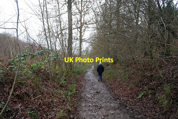 Photo 6"x4" Path down to the Gullet Quarry Chandler's Cross\/SO7738 c2008