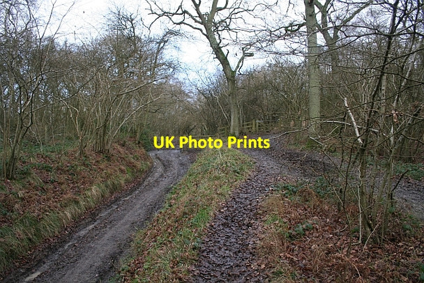 Photo 6"x4" Gateway to Swinyard Hill Chandler's Cross\/SO7738 c2008