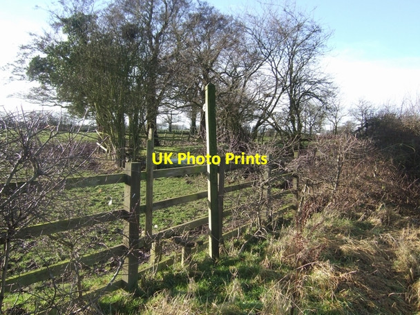 Photo 6"x4" Footpath to Laney Green Great Saredon c2008