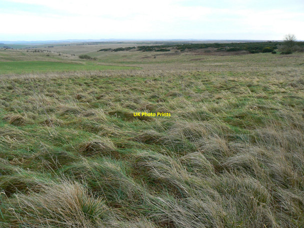 Photo 6"x4" Chirton Down, Salisbury Plain Townsend\/SU0456 c2008