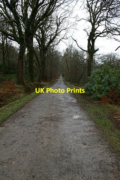 Photo 6"x4" Saddell Castle Drive Saddell c2008