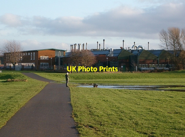 Photo 6"x4" Dog enjoying a paddle in waterlogged Melbourne Park Carlisle c2008