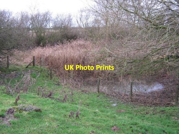 Photo 6"x4" Waterlogged wood Rawcliffe\/SE6822 c2008